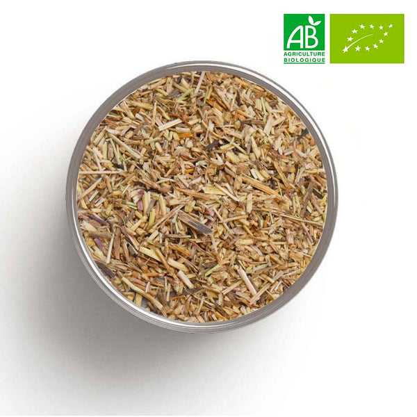CARDAMOME poudre bio - Vente en Gros - Grossiste Vrac - Herboristerie –  HerboDirect