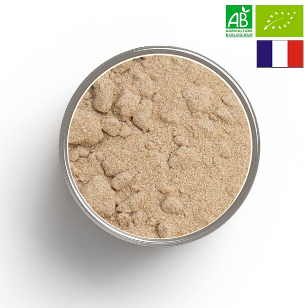 CORIANDRE graine poudre BIO - Origine FRANCE