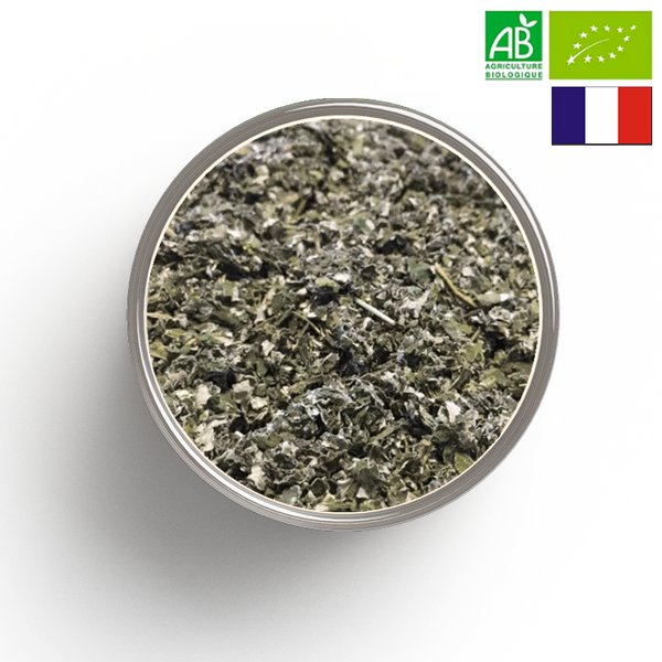 FRAMBOISIER feuille coupée BIO - Origine FRANCE