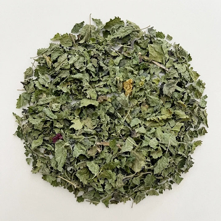 Wholesaler ORTIE whole leaf ORGANIC - Origin FRANCE - Wholesale - Thés ...