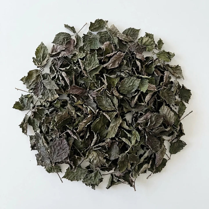 Grossiste RONCE feuille entière bio - Vente en gros – Thés Direct ...