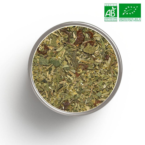 Tisane diet expert BIO en vrac